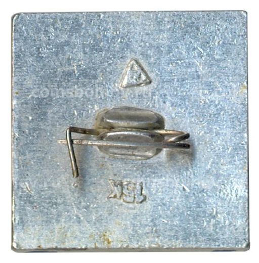 Значок Владимир