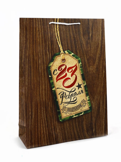 Цена за 2 шт. Пакет подарочный ламинированный С 23 февраля, L 28?38?9 см