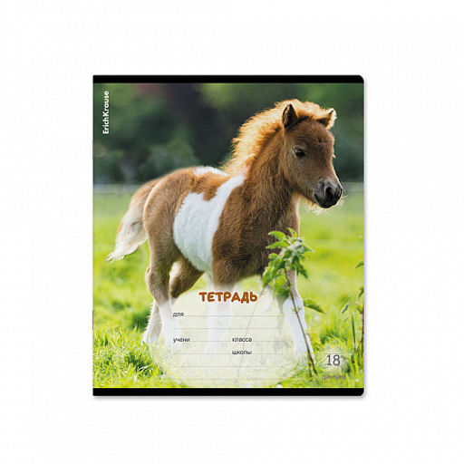 Цена за 10 шт. Тетрадь школьная ученическая ErichKrause Пушистики, 18 листов, линейка (в плёнке по 10 шт.)_MIX-PACK  фото 7