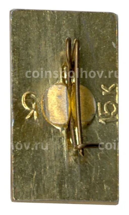 Значок Горький