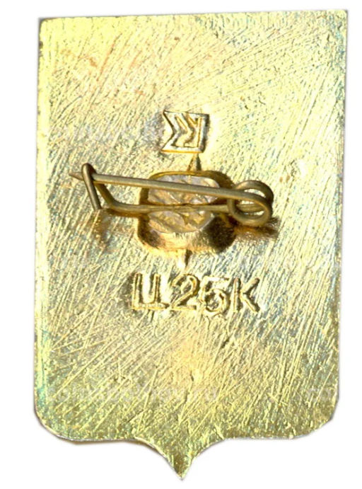 Значок Житомир