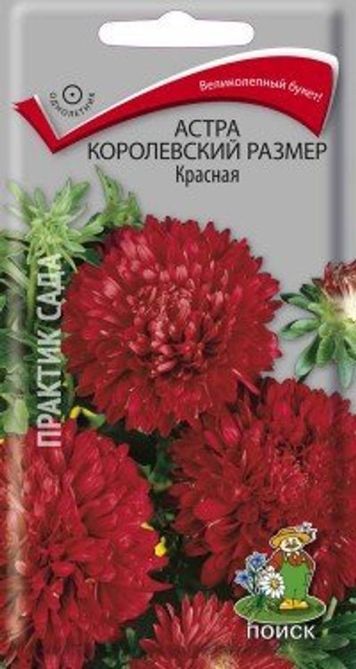 Астра (однолетняя) королевский размер Красная (ЦВ) (1) 0,1гр. - Поиск фото 2