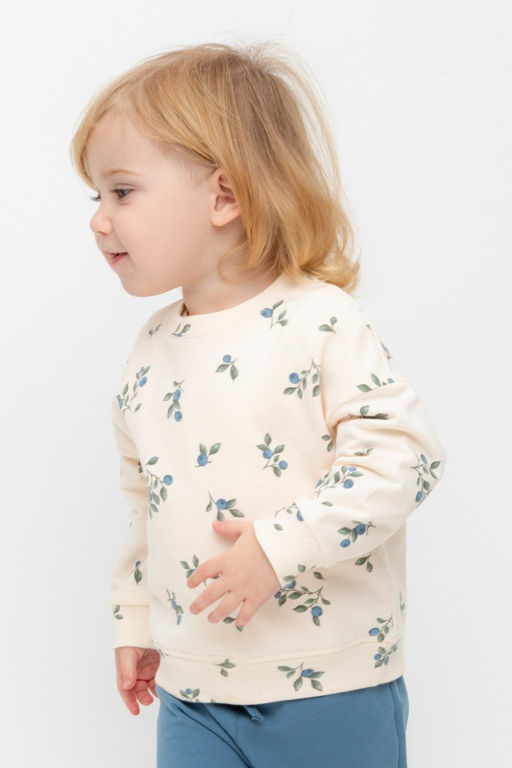 Crockid _ КР 302308/айвори,голубика к561 джемпер (свитшот) д/дев яс  фото 3