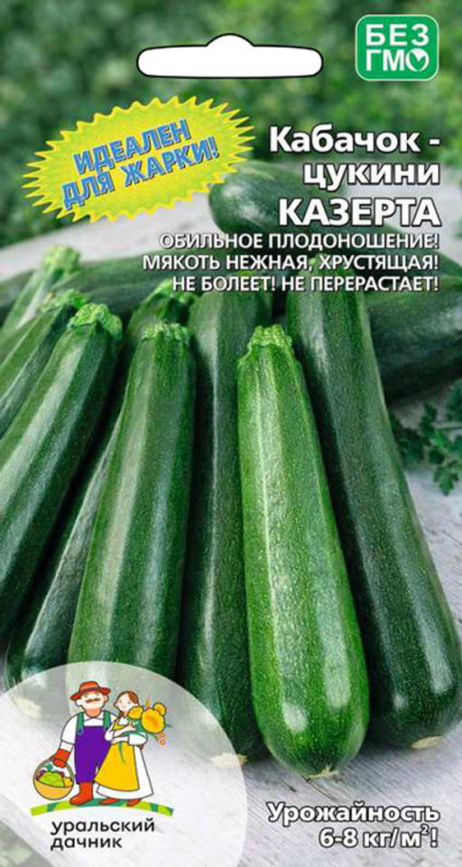 Кабачок КАЗЕРТА Идеален для жарки! Обильное плодоношение! Не болеет! Не перерастает!
