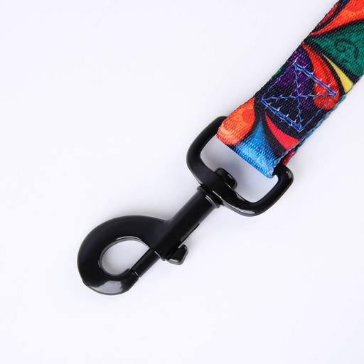 Поводок Невозможно слиться с улицей, 2.5 см, 1.5 м - Пушистое счастье фото 8