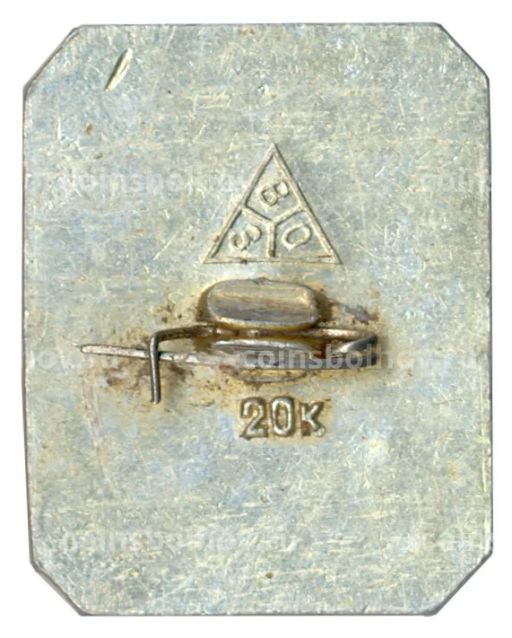 Значок Владимир