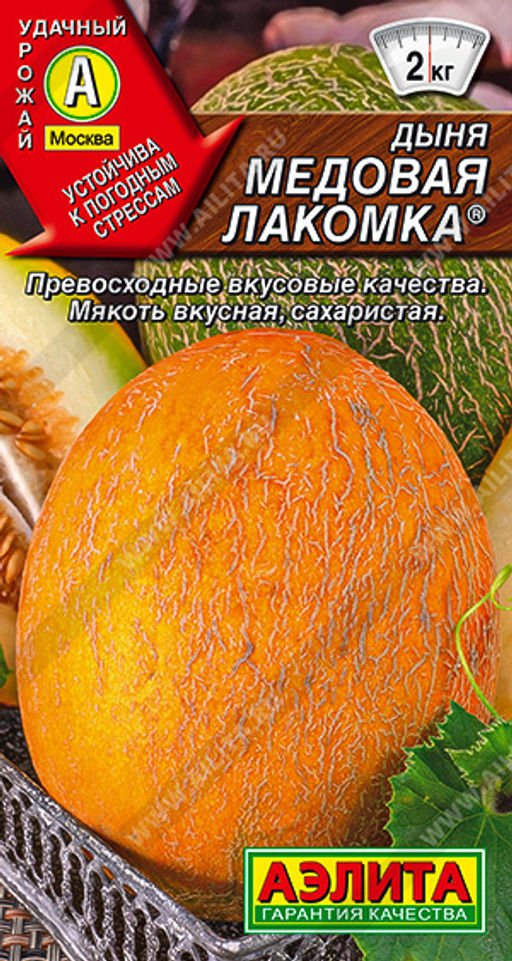 Дыня Медовая лакомка (2028
