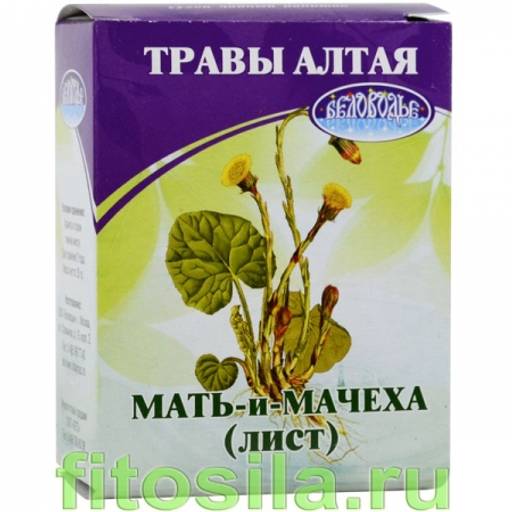 Мать-и-мачеха, побеги, 25 г (коробочка), чайный напиток