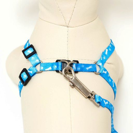 Комплект Классика, капрон, поводок 120 х 1 см, ОГ 21-35 см, голубой - Пижон фото 4