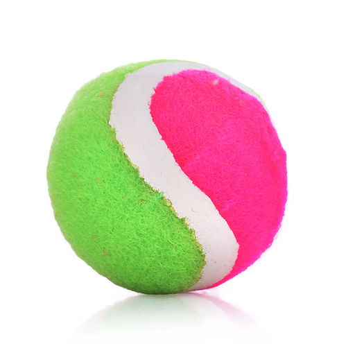 Набор игровых ракеток (2 ракетки, 2 мяча) в сетке