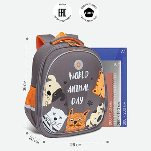 RAz-086-14 new Рюкзак школьный