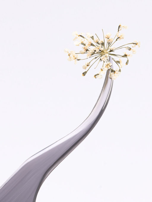 Сухоцветы для декора Яркость, в футляре, МИКС - Qf фото 2