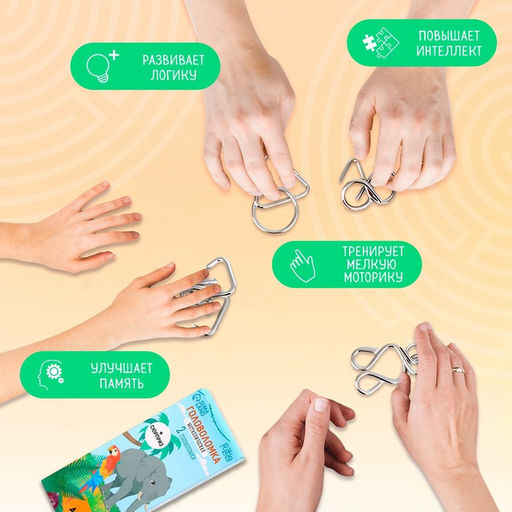 Головоломка металлическая «Животные мира», в шоубоксе