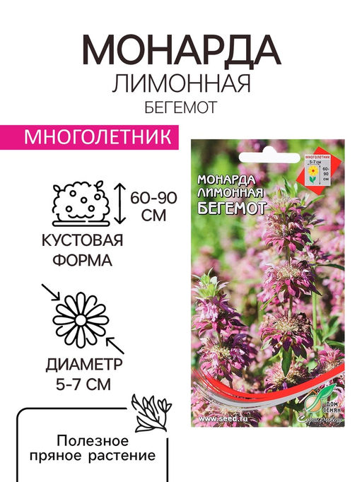 Цена за 3 шт. Семена Монарда лимонная "Бегемот", 110 шт