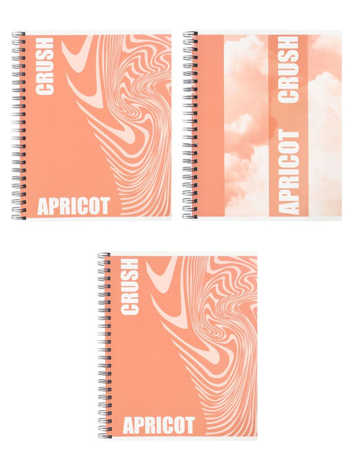 Тетрадь 96 листов в клетку, на гребне, Apricot, МИКС