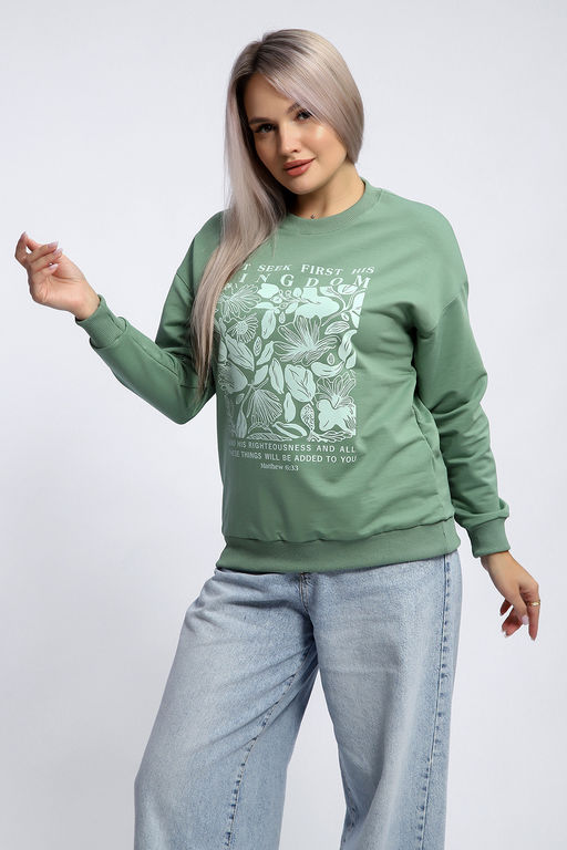 Толстовка 80047