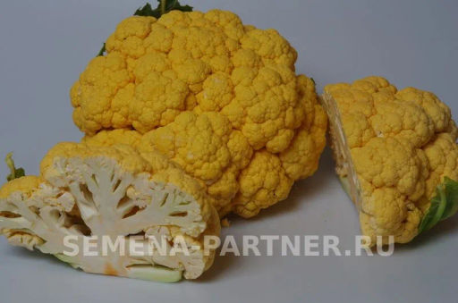 Капуста цветная Флейм Стар (желто-оранжевый) - Партнер фото 4