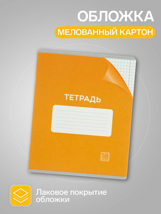 Тетради 18 листов в клетку Calligrata «Однотонная Классика», обложка мелованный картон, серые листы, 10 шт.