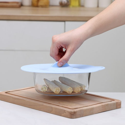 Крышка для хранения Доляна «Симпл», d=21 см, силикон, голубая