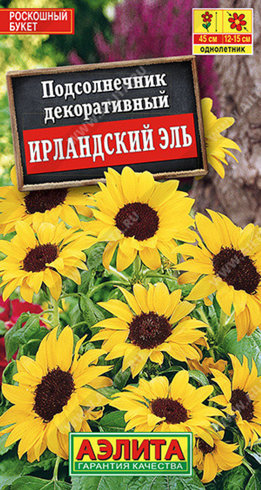 1755A Подсолнечник Ирландский эль 0,5гр