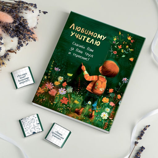 Набор 12 шоколадок "Любимому учителю (мальчик пишет на доске)"