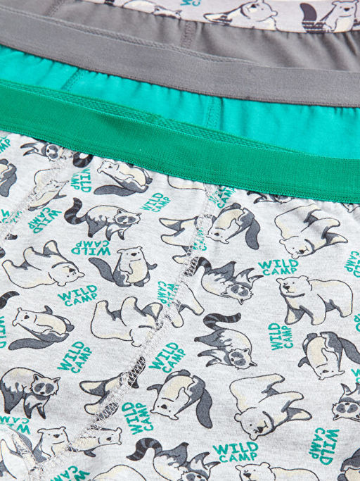 Bask?l? Pamuklu Erkek ?ocuk Boxer 3l? - Waikiki фото 3