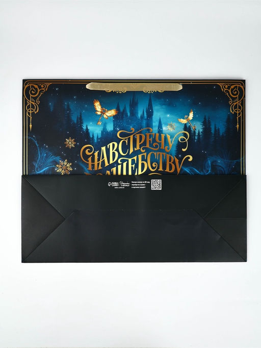 Пакет новогодний подарочный ламинированный «Волшебство», Гарри Поттер, XL 49×40×19 см