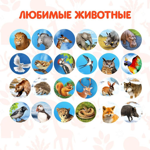 Проектор-фонарик Мир зверей, световые эффекты, 3 слайда, 24 картинки, МИКС - Zabiaka фото 3