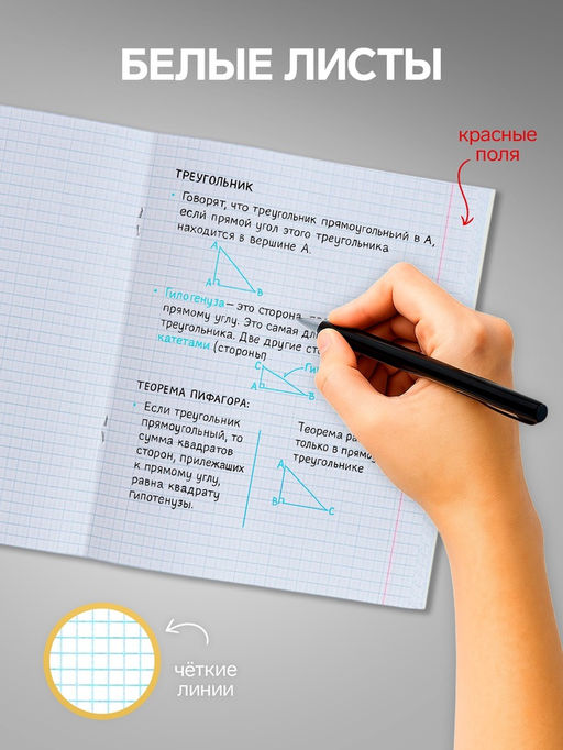 Набор тетрадей 24 листа в клетку Calligrata «Однотонная Классика с уголком», обложка мелованный картон, серые листы, 10 шт.
