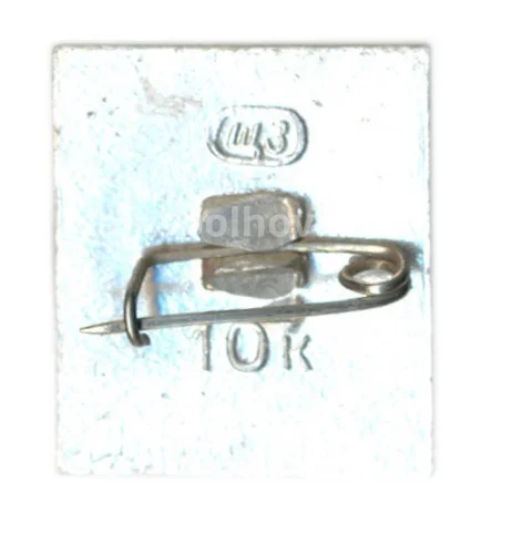 Значок Шушенское