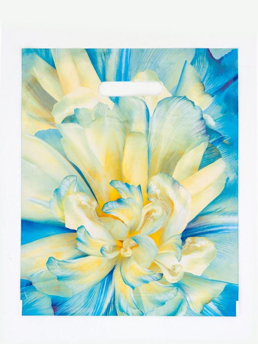 Цена за 50 шт. Пакет подарочный «Молли», полиэтиленовый с вырубной ручкой, 30×37 см, 90 мкм