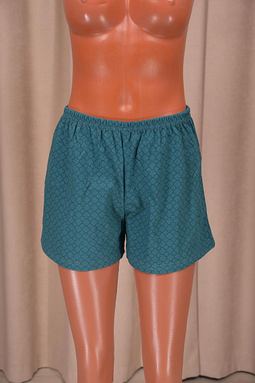 Шорты трикотажные (00754, вариант 71) - Плиона фото 2