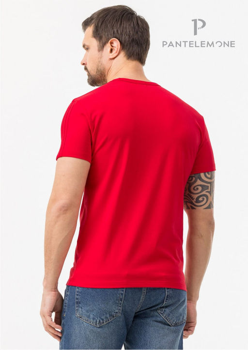 Футболка мужская MF-1113 - Pantelemone фото 2