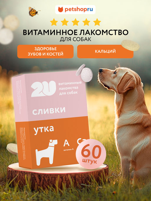Витаминное лакомство для собак "Для здоровья зубов и костей", 60 таб. 23тп67