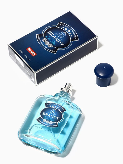 Туалетная вода мужская Brandy De Bleu, 100 мл