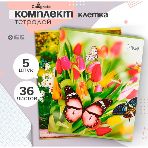 Набор тетрадей 36 листов в клетку, Calligrata «Бабочки», серые листы, 5 штук