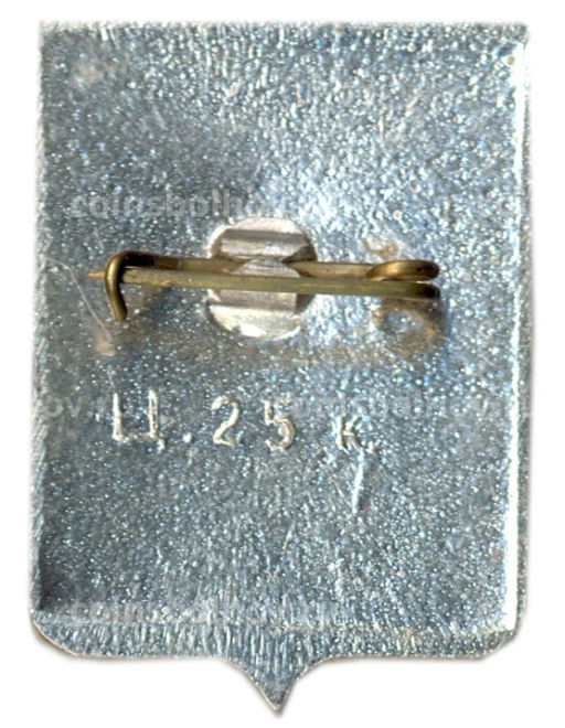 Значок Старая Русса