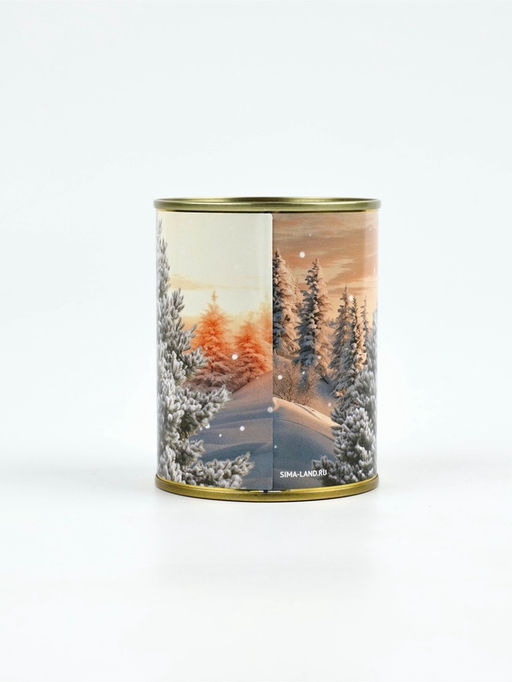 Цена за 2 шт. Копилка банка новогодняя, металл «Зима подарит», 7.5×9.5 см