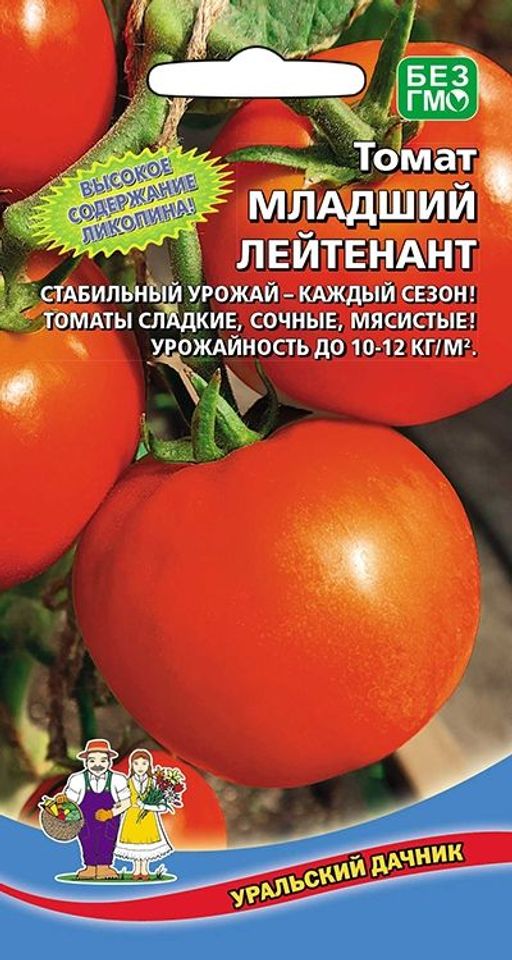 Томат МЛАДШИЙ ЛЕЙТЕНАНТ Высокое содержание ликопина! Стабильная урожайность каждый сезон! Плоды сладкие, сочные, мясистые! Урожайность до 12 кг/м/кв! - Уральский дачник фото 2