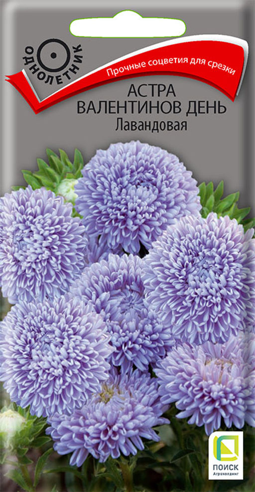 Астра (однолетняя) Валентинов день Лавандовая (ЦВ) ("1) 0,2гр