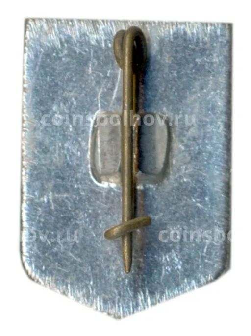 Значок Сочи Ахун