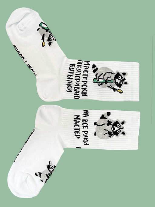 Носки р.35-40 TxT Енот Мастер - Krumpy фото 9