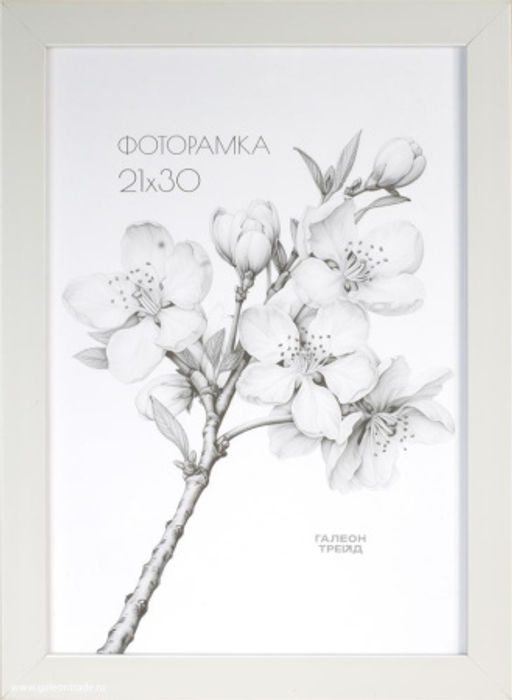 Фоторамка 21х30 / ZR208A-19 /уп10