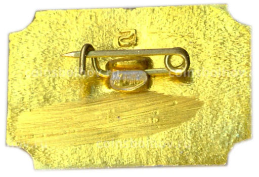 Значок Санкт-Петербург Дворец-музей А.Д.Меншикова