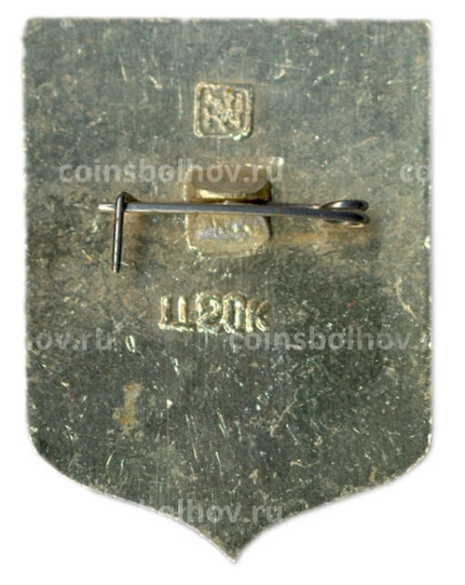 Значок Вытегра