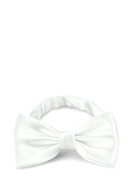 Галстук-бабочка мужской GREG Greg-poly 18-белый одн.1.151