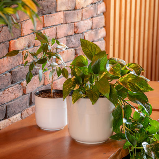 Горшок цв. "Линель" 4,5л двойной (бежевый) М8702