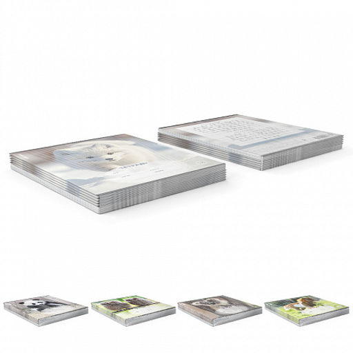 Цена за 10 шт. Тетрадь школьная ученическая ErichKrause Пушистики, 18 листов, линейка (в плёнке по 10 шт.)_MIX-PACK  фото 9