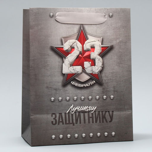 Цена за 2 шт. Пакет подарочный ламинированный, упаковка, С 23 февраля, ML 23?27?11.5 см