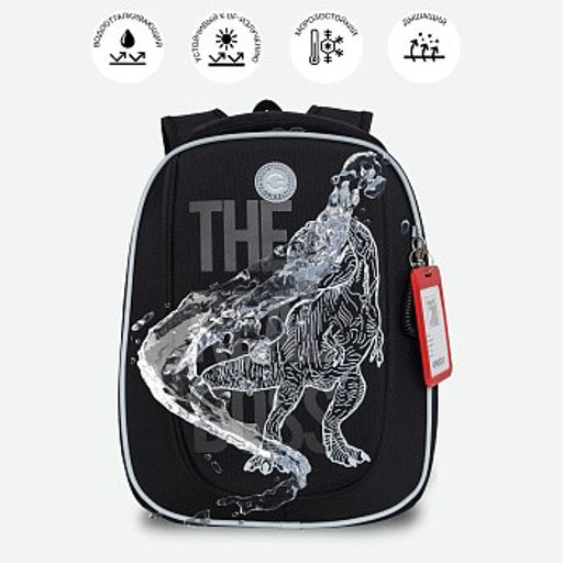 RAf-493-2 Рюкзак школьный - Grizzly фото 40